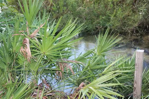 Deer Road, Frostproof, FL 33843 photo 10