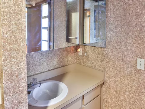 Bath - 6103 Sky Flower Ct, Bartow, FL 33830 photo 3 of 3