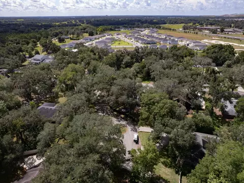 View/Area - 6103 Sky Flower Ct, Bartow, FL 33830 photo 5 of 8