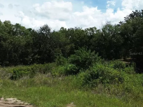 600 Serene Ln, Lorida, FL 33857 photo 9