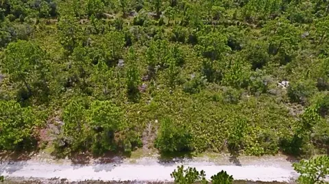 Granada Drive, Indian Lake Estates, FL 33855