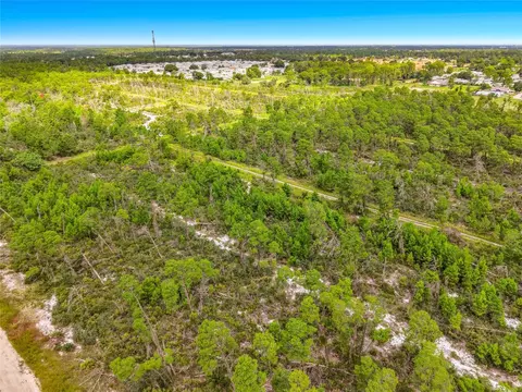 443 Parrot Ave, Sebring, FL 33870 photo 7