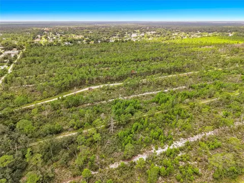 443 Parrot Ave, Sebring, FL 33870 photo 21