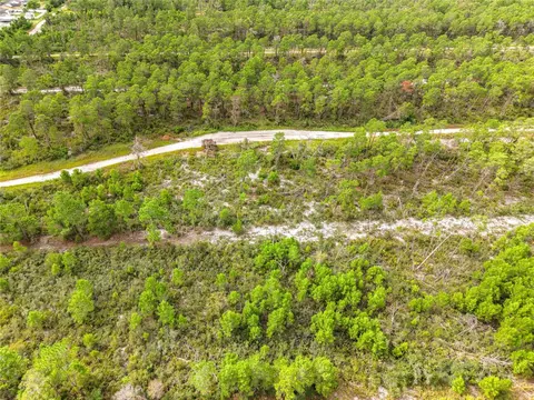 443 Parrot Ave, Sebring, FL 33870 photo 14