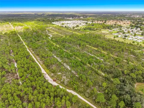 443 Parrot Ave, Sebring, FL 33870 photo 5
