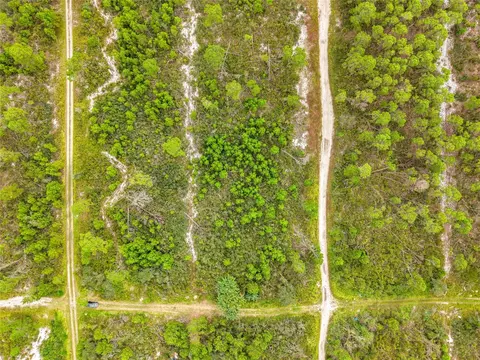 443 Parrot Ave, Sebring, FL 33870 photo 17