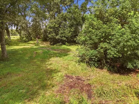 2929 Al Simmons Rd, Dover, FL 33527 photo 3