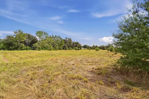 2929 Al Simmons Rd, Dover, FL 33527 photo 17