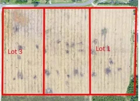 Golden Bough Road, Lake Wales, FL 33898