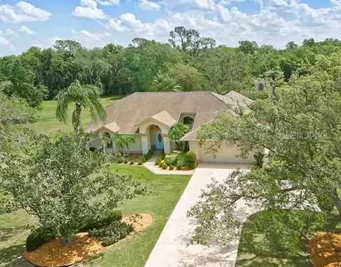 3310 Wilderness Blvd E, Parrish, FL 34219 photo 1