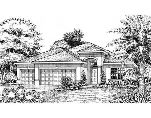 16405 Rivers Reach Blvd, Parrish, FL 34219 photo 1
