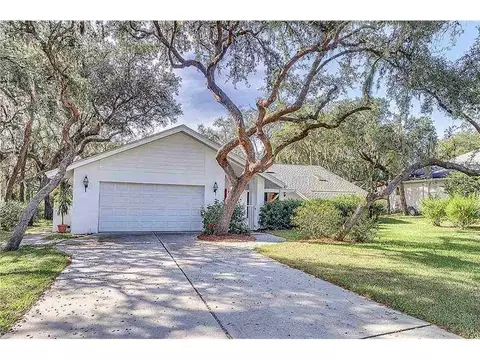 2905 Wilderness Blvd W, Parrish, FL 34219 photo 1