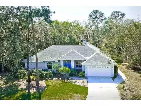 11759 Laurel Oak Ln, Parrish, FL 34219 photo 1