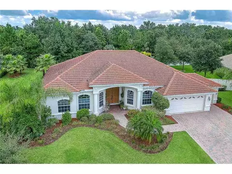 11428 Savannah Lakes Dr, Parrish, FL 34219 photo 1