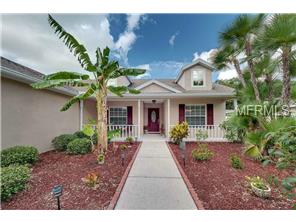 3919 Douglas Hill Pl, Parrish, FL 34219 photo 1