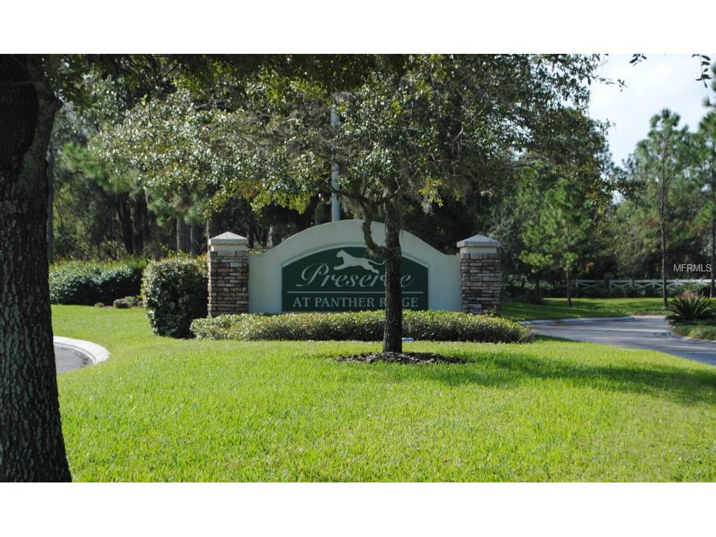 22275 Panther Loop, Bradenton, FL 34202 photo 1