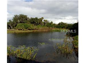 5974 Willows Bridge Loop, Ellenton, FL 34222 photo 1