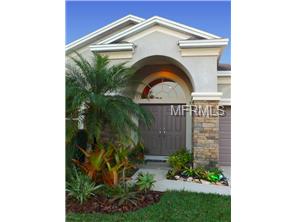 9933 58th St E, Parrish, FL 34219 photo 1