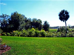 16809 Destrehen Ct, Parrish, FL 34219 photo 1