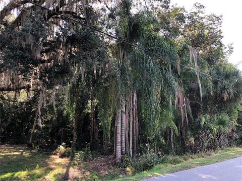 814 Racoon Ln, Lorida, FL 33857 photo 1