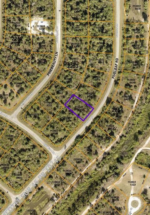 Fiveleaf Road, North Port, FL 34288