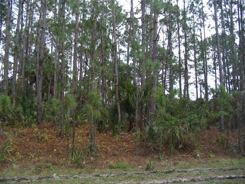 Lot 31 Duluth Terrace, North Port, FL 34286