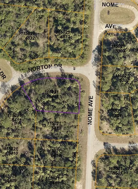 Norton Drive, North Port, FL 34288