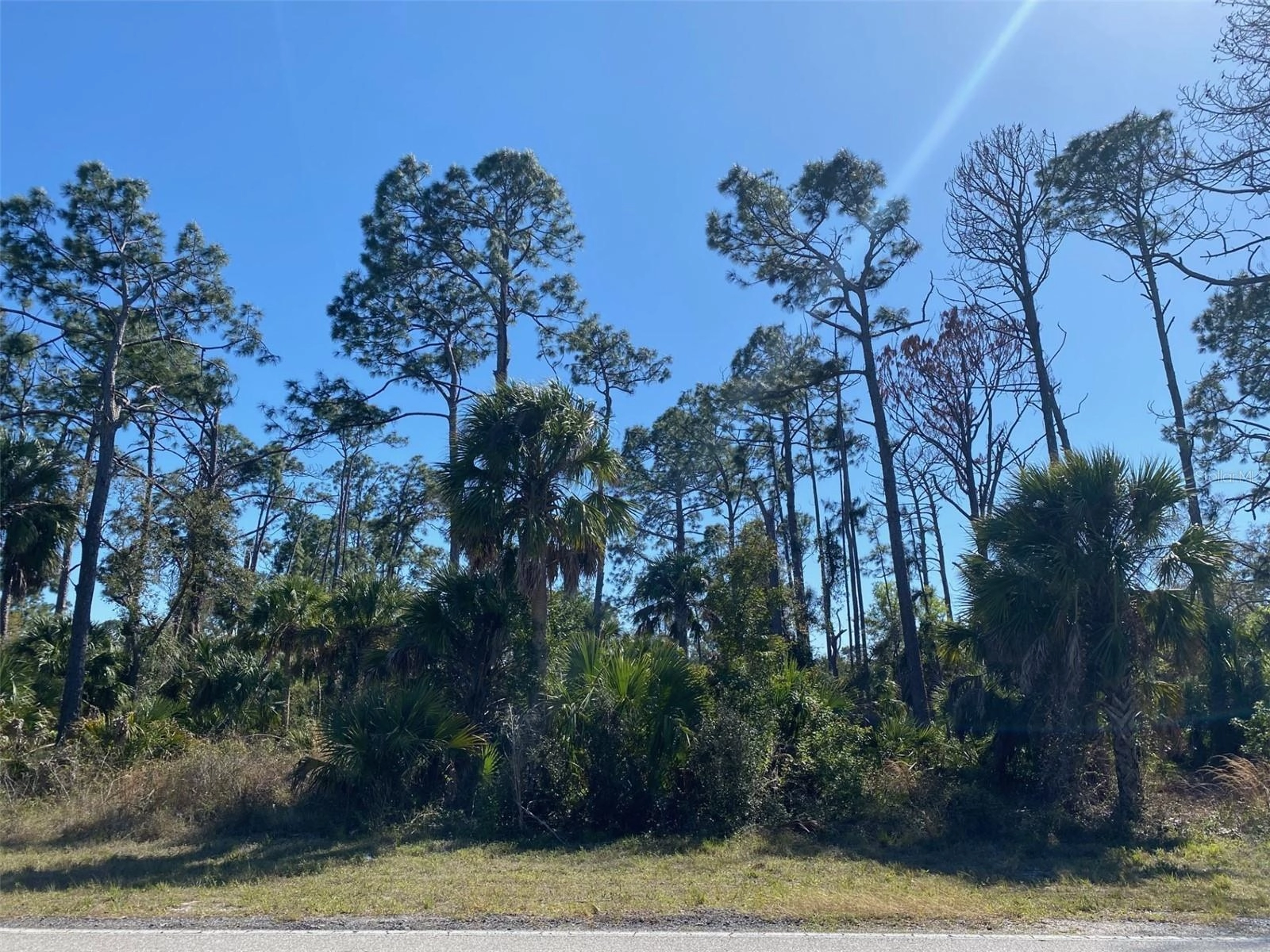 17467 Hillsborough Blvd  