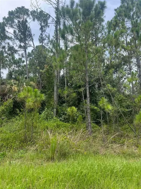 Bignay Road, North Port, FL 34288