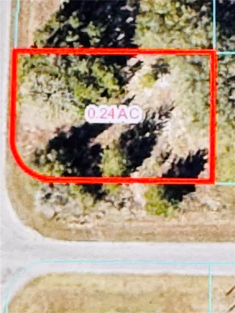 tbd Malauka Run, Ocklawaha, FL 32179