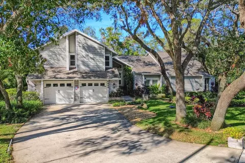 2420 Butternut Ct, Dunedin, FL 34698
