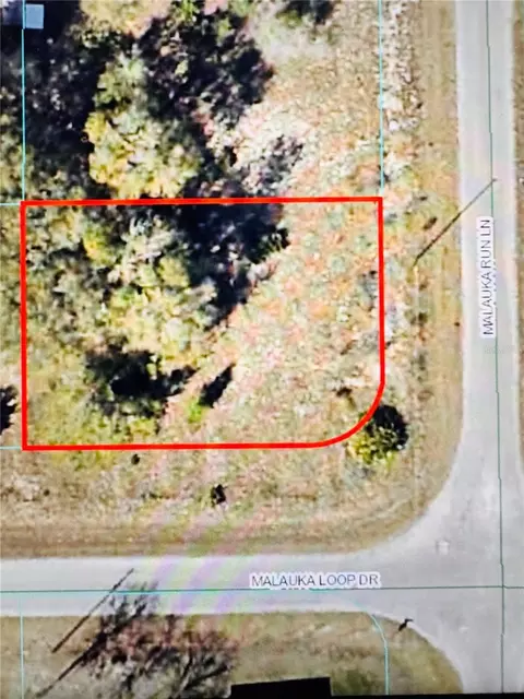 tbd Malauka Run Ln, Ocklawaha, FL 32179