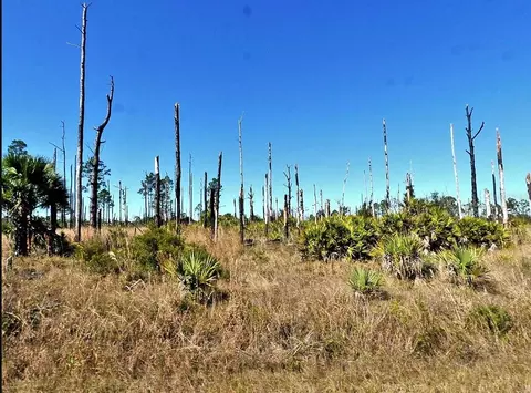 Ewen Circle, North Port, FL 34288