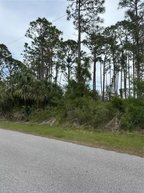 Dooling Street, North Port, FL 34291