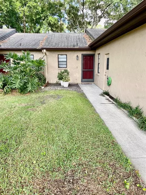 6203 Pina Colada Ct #NONE, Tampa, FL 33634