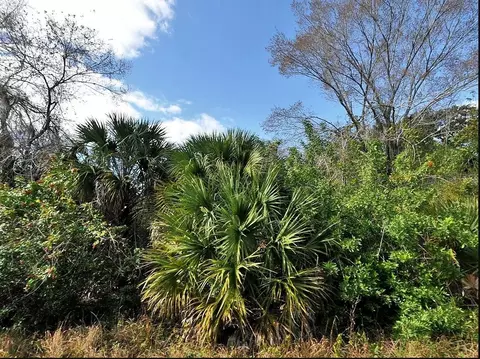 Grenard Circle, North Port, FL 34288