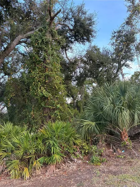293 Libby St, Port Charlotte, FL 33953