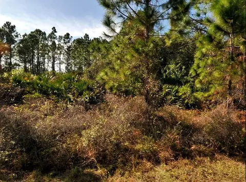 Filbert Street, North Port, FL 34288
