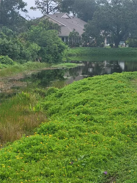 View/Area - 482 Pendleton Pl, Venice, FL 34292 photo 3 of 4