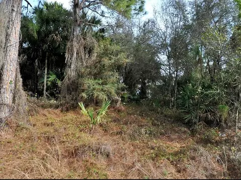 Gilbert Street, North Port, FL 34288