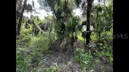 Alpen Avenue, North Port, FL 34291