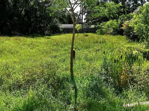 Olive Avenue, Nokomis, FL 34275
