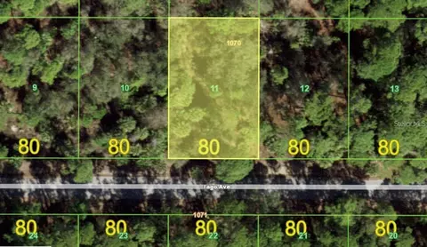 17460 Iago Ave, Port Charlotte, FL 33954