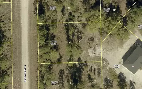 315 Briggs Ave S, Lehigh Acres, FL 33974