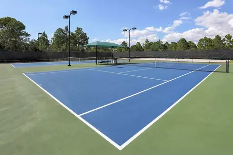 View/Area - 11626 Dancing River Dr, Venice, FL 34292 photo 3 of 9
