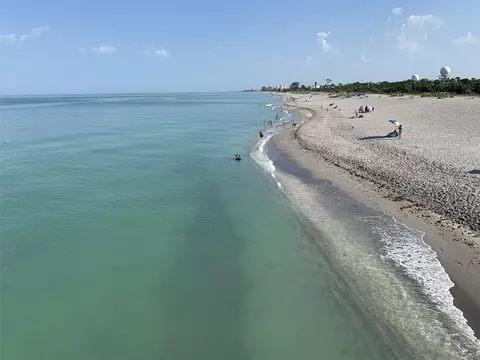 View/Area - 1226 Pine Needle Rd, Venice, FL 34285 photo 10 of 12