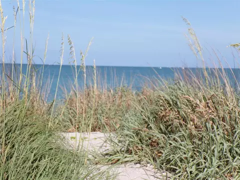 View/Area - 1124 Sunset Dr, Venice, FL 34285 photo 5 of 6