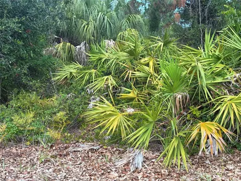 Mendavia Terrace, North Port, FL 34286