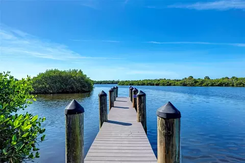 View/Area - 1495 Ringtail Rd, Venice, FL 34293 photo 4 of 7