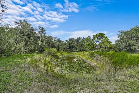 Other - 16535 Cr 675 Rd, Parrish, FL 34219 photo 11 of 11